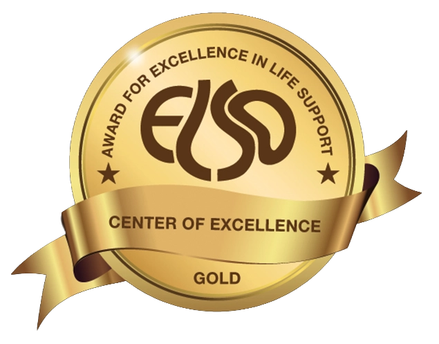 Selo ELSO Silver